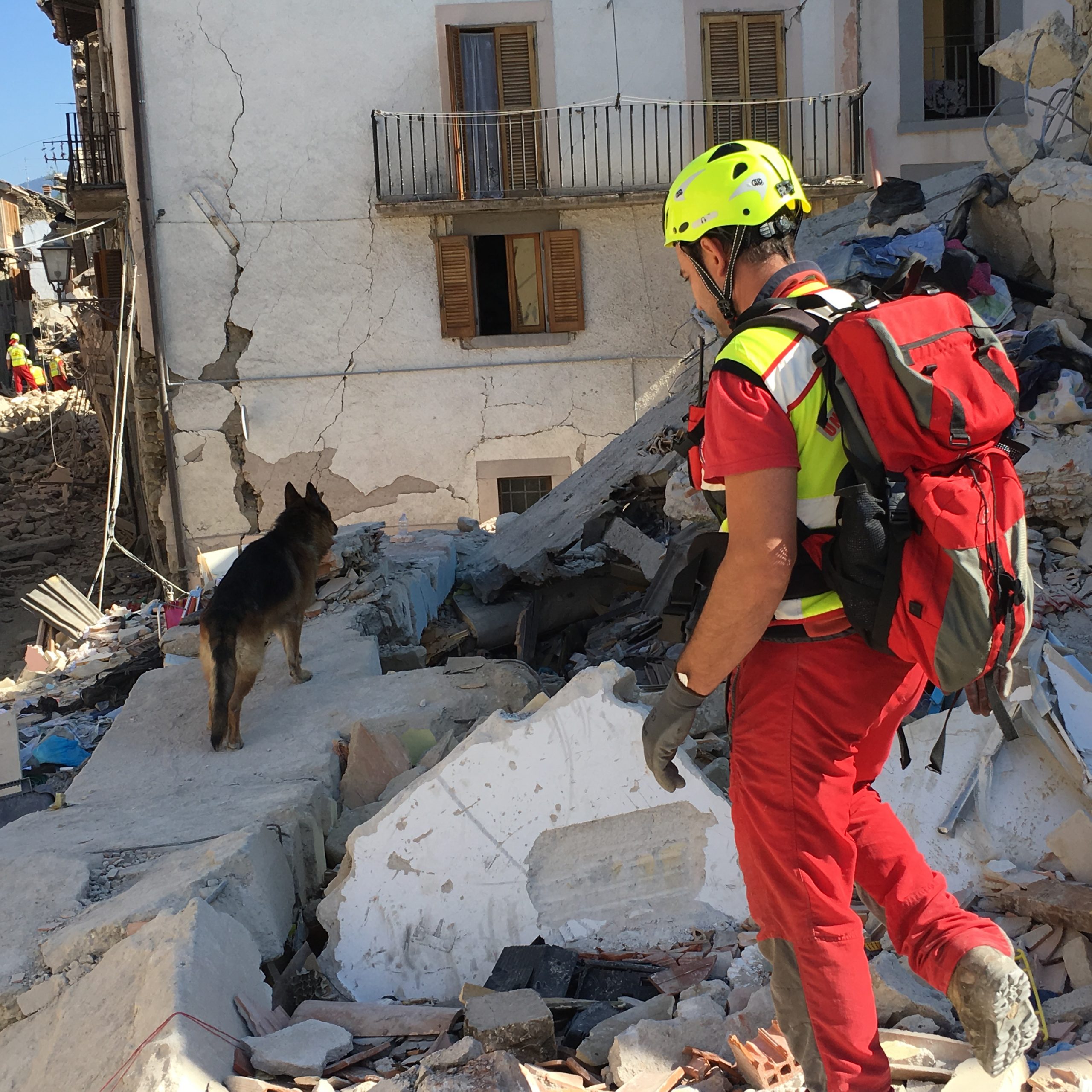 unità cinofile camunia soccorso su maceria terremoto